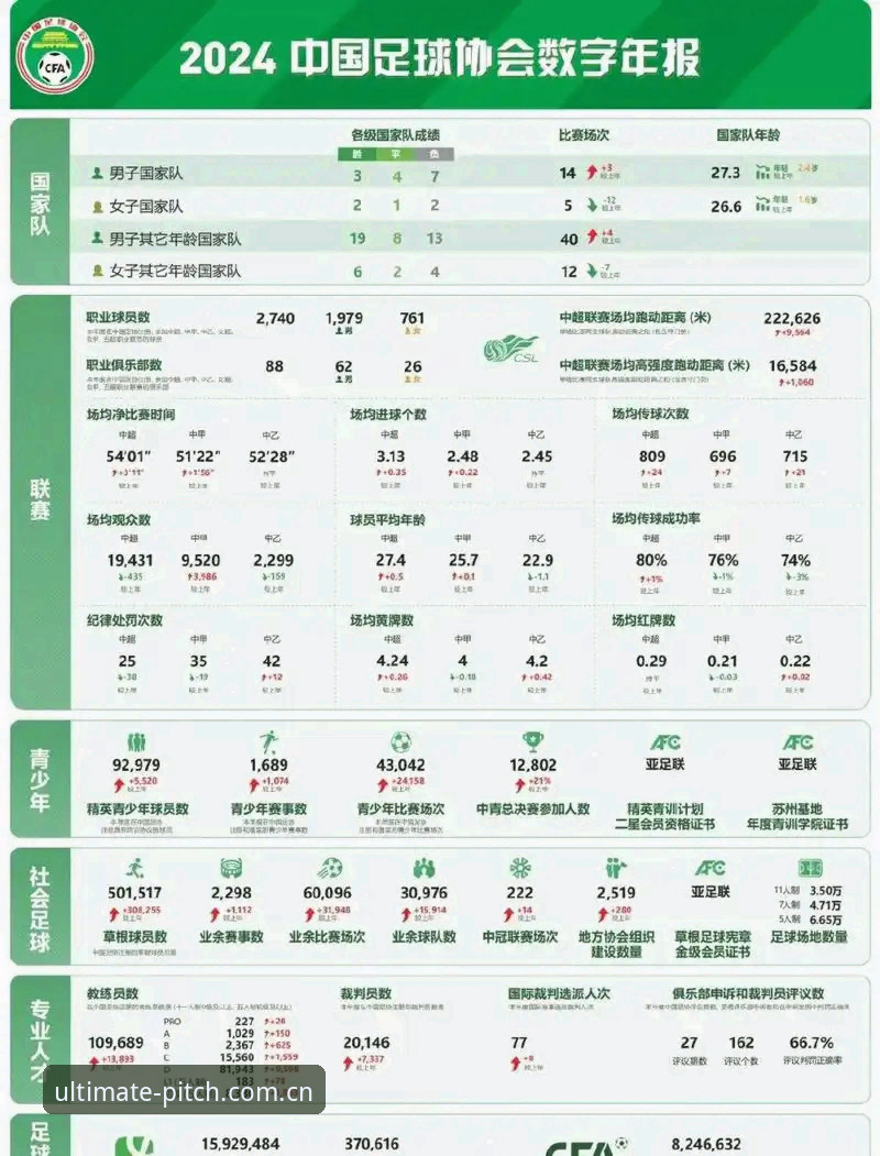 中国足协第三批禁足名单深度解析：从17人终身禁赛看足球反腐风暴
